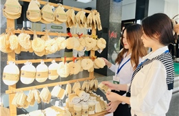 Doanh nghiệp Việt cần hiểu thị trường để xuất khẩu bền vững