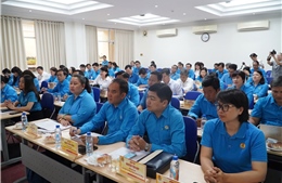 TP Hồ Chí Minh: Đảm bảo hoạt động Công đoàn sau sắp xếp