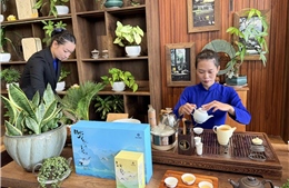 Văn hoá trà mở lối phát triển du lịch cao cấp cho TP Hồ Chí Minh và Lâm Đồng