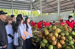 &#39;Ươm mầm&#39; cho sinh viên phát triển nông sản Việt