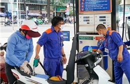 Đẩy mạnh tiêu thụ xăng E10 bằng giải pháp đồng bộ từ chính sách đến thị trường