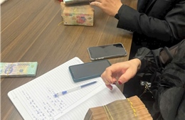 Cảnh giác 'sập bẫy' lừa đảo du lịch cuối năm với tour rẻ, visa ảo