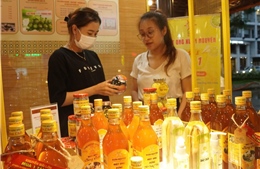 Doanh nhân TP Hồ Chí Minh kỳ vọng môi trường kinh doanh sẽ bứt phá