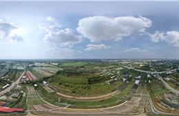 Làng hoa Sa Đéc bừng sắc Xuân, nhà vườn hối hả vào vụ Tết