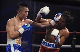  Việt Nam lần đầu tiên đăng cai hội nghị thường niên của Liên đoàn Quyền anh quốc tế