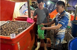 TP Hồ Chí Minh siết chặt kiểm soát thực phẩm dịp cận Tết