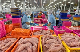 Kinh tế tư nhân - động lực tăng trưởng của TP Hồ Chí Minh