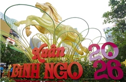 TP Hồ Chí Minh: Ngắm linh vật bên trong Đường hoa Nguyễn Huệ trước giờ G