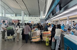 Hàng không, du lịch xoay xở vượt khó