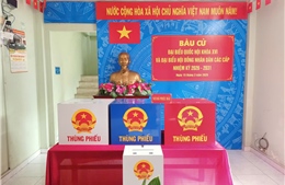 Không khí bầu cử rộn ràng từ hẻm nhỏ đến chung cư ở TP Hồ Chí Minh