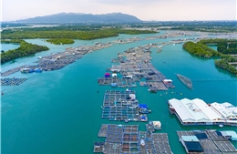 Du lịch TP Hồ Chí Minh chuyển mình nhờ công nghệ số