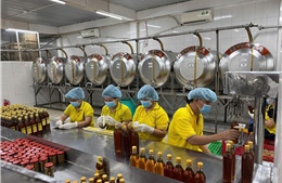 Kinh tế TP Hồ Chí Minh tăng tốc mạnh, GRDP quý I đạt mức cao nhất 5 năm