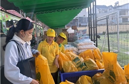 Công đoàn TP Hồ Chí Minh đổi mới cách làm, nâng chất đời sống công nhân