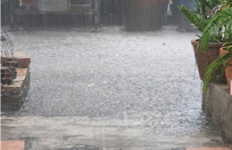 Mưa dông bất ngờ làm hạ nhiệt TP Hồ Chí Minh