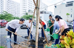 'Vườn cây đại đoàn kết' lan tỏa nếp sống xanh ở TP Hồ Chí Minh