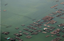TP Hồ Chí Minh: Tăng cường kiểm tra toàn diện hoạt động nhà hàng nổi tại Làng bè Gò Găng