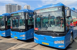 TP Hồ Chí Minh: Lượng người đi xe buýt tăng mạnh nhờ miễn phí vé và chuyển đổi xanh