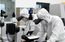 Kết nối trí tuệ Việt - Bài 1: Quy tụ chất xám để bứt phá công nghệ