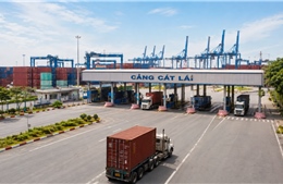TP Hồ Chí Minh: Mở tuyến đường liên cảng để giảm xe container qua khu dân cư