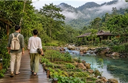 Du lịch xanh mở rộng trải nghiệm văn hóa, sức khỏe cho du khách