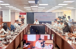 TP Hồ Chí Minh: Nhà dân lún, nứt cạnh dự án Bcons, hai doanh nghiệp bị xử phạt