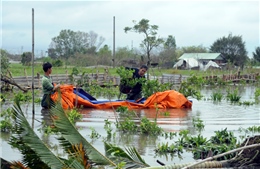 Các làng hoa, cây cảnh phục vụ Tết bị thiệt hại nặng sau bão số 9