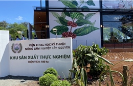 Quảng bá cà phê Việt Nam bằng mô hình vườn trải nghiệm
