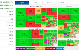 Hàng loạt mã tăng giá, VN-Index ‘hứng khởi’ tăng hơn 10 điểm