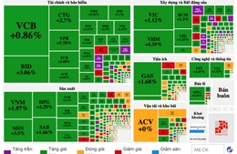 TTCK ngày 20/2: Mã cổ phiếu bất động sản &#39;hưng phấn&#39;, VN-Index tăng hơn 27 điểm