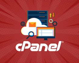Bkav: Lỗ hổng phần mềm quản trị website cPanel