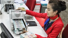 TP Hồ Chí Minh: Ngân hàng giải ngân 474 tỷ đồng cho lĩnh vực lâm, thủy sản