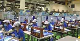 Cần chuyển đổi ‘xanh’ cho thị trường lao động Việt Nam