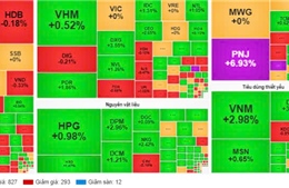 TTCK ngày 19/8: Bất chấp khối ngoại bán ròng, VN-Index tăng hơn 9 điểm