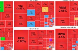 TTCK ngày 5/8: Khối ngoại bán ròng mạnh, VN-Index lao dốc gần 50 điểm