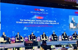 Thị trường M&A 2024: Sức hút từ các thương vụ lớn và sự trỗi dậy của doanh nghiệp Việt