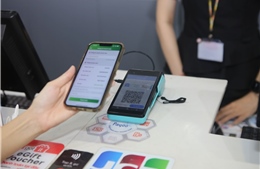 Kỷ nguyên tài chính nhúng - Bài cuối: Làn ranh rủi ro và bài toán phát triển bền vững