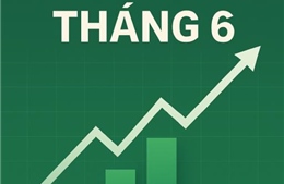 Thị trường chứng khoán khởi sắc nhờ đối thoại thương mại và chính sách cải cách