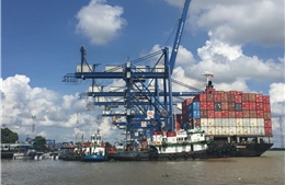 Doanh nghiệp Việt xoay trục trước ‘giờ G’ thuế quan
