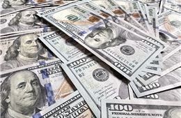 Dự báo tỷ giá USD vẫn ổn định đến cuối năm nhưng áp lực tăng vẫn hiện hữu