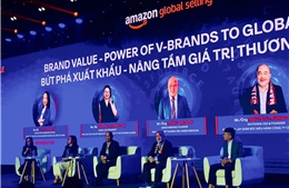 Doanh nghiệp Việt xây dựng thương hiệu qua thương mại điện tử