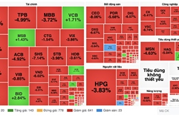 VN-Index lao dốc mất gần 42 điểm, áp lực điều chỉnh lan rộng