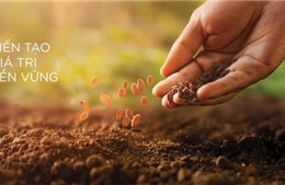 Giải Báo cáo phát triển bền vững 2025 hướng tới tương lai xanh và minh bạch