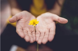Hãy để con trẻ lớn lên trong yêu thương và an toàn