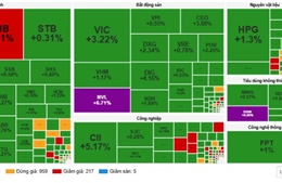 VN-Index tăng hơn 16 điểm, sắc xanh bao phủ thị trường