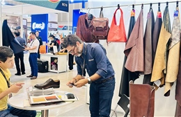 Niềm tin kinh doanh cải thiện khi số doanh nghiệp mới tăng mạnh nhất ba năm