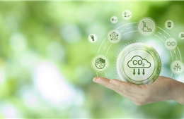 Doanh nghiệp Việt tăng đầu tư cho phát triển bền vững