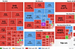 Áp lực bán lan rộng, VN-Index mất hơn 52 điểm 