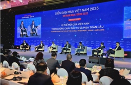 M&A Việt Nam đổi vai: Nhà đầu tư ngoại tìm giá trị, doanh nghiệp nội tìm sức bật