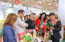 Cơ hội cho thực phẩm Việt tại SIAL Shanghai 2026