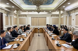 Doanh nghiệp Anh mong muốn hợp tác phát triển đường sắt đô thị tại Việt Nam